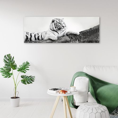 Deco Panel, Czuwający tygrys 150x50 na Arena.pl