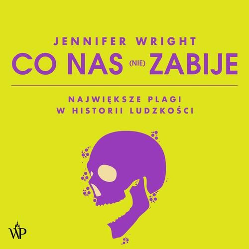 (mp3) Co nas (nie) zabije zdjęcie 1