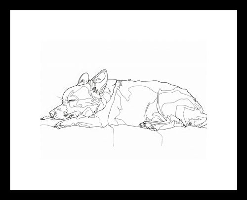 Plakat 18x13cm Śpiący Psiak na Arena.pl