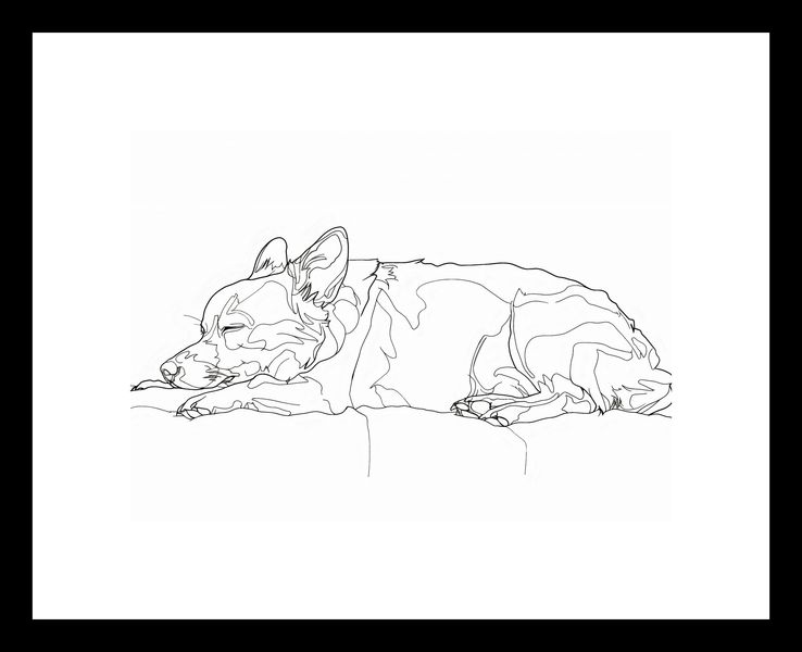 Plakat 18x13cm Śpiący Psiak zdjęcie 3