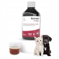 Anirevil Protect Płyn 250ml Wsparcie Ochrona Wątroby Psa I Kota Biovico