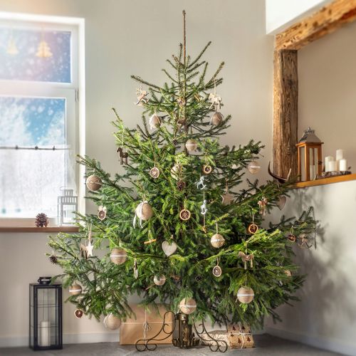 STOJAK CHOINKOWY PODSTAWKA POD CHOINKĘ NA DRZEWKO na Arena.pl