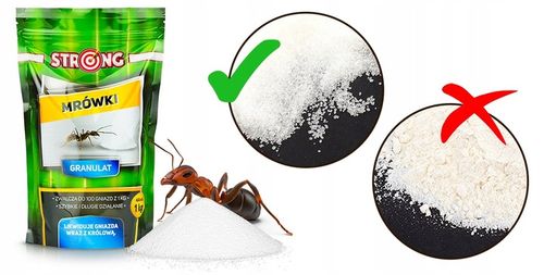 PREPARAT NA MRÓWKI, PROSZEK NA MRÓWKI DO DOMU I OGRODU, TRUTKA STRONG 1 KG na Arena.pl