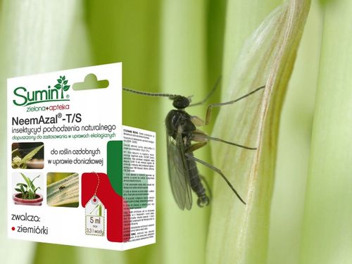 NEEMAZAL T/S PREPARAT NA ZIEMIÓRKI inne szkodniki, oprysk roślin ozdobnych na Arena.pl