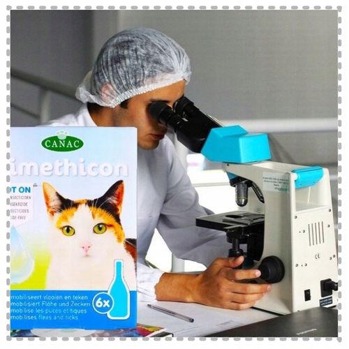 PREPARAT PRZECIW PCHŁOM I KLESZCZOM DLA KOTÓW NA KROPLE PCHŁY I KLESZCZE na Arena.pl