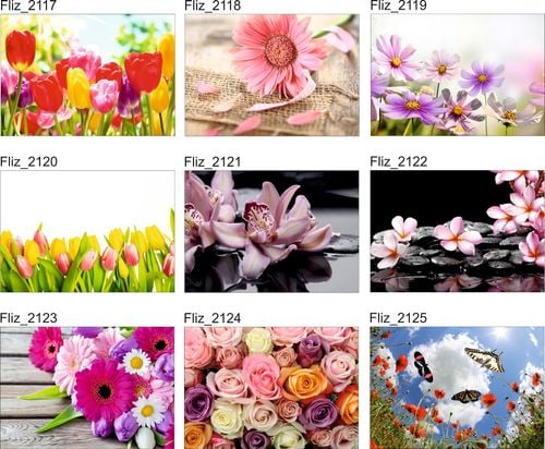 FOTOTAPETA KWIATY CZERWONY KWIAT PŁATKI KAMIENIE na Arena.pl