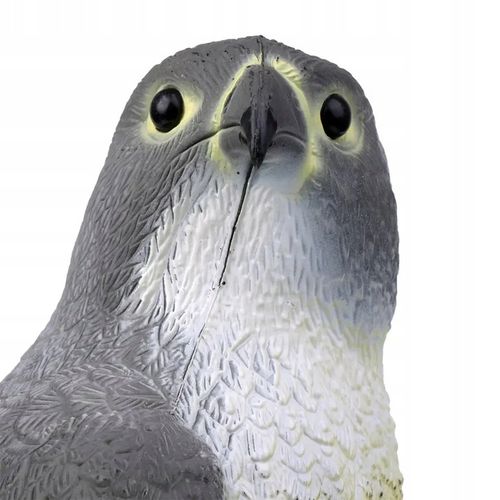 Jastrząb odstraszacz ptaków gołębi szpaków sokół na Arena.pl