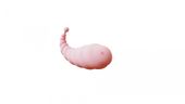 mini vibrator