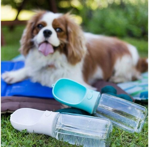 BUTELKA NA WODĘ DLA PSA BIDON POIDŁO MISKA 0,5L PRZENOŚNA SPACER TURYSTYCZN na Arena.pl