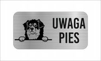 GRAWER Tabliczka nierdzewna 20x10 UWAGA PIES Owczarek australijski