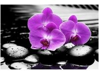 120CM 80CM OBRAZ ŚCIENNY OSTOJA PIĘKNA