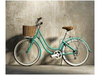 70X50CM OBRAZ ROWER RETRO ZIELONY KLASYK KOSZYKIEM ŚCIAN