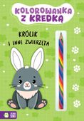 kolorowanka z kredką. królik 8832