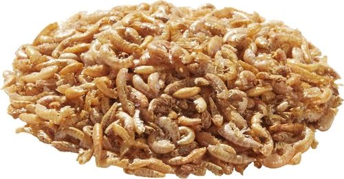 tetra gammarus 500ml na Arena.pl