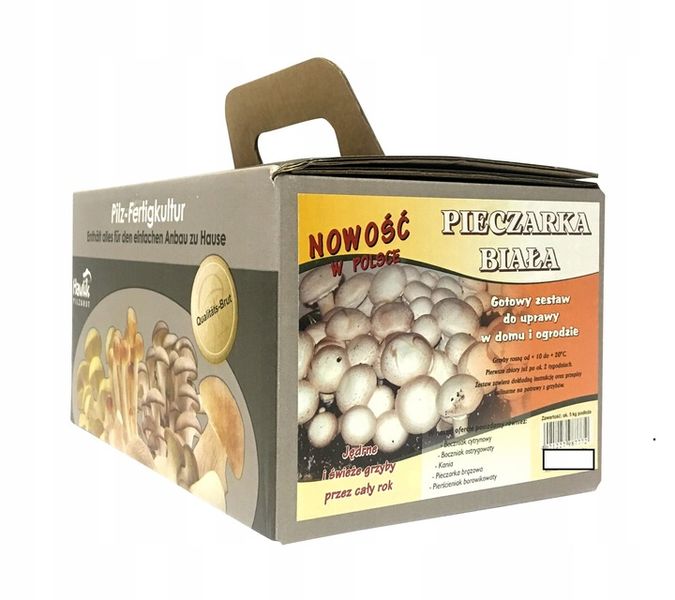 Grzybnia PIECZARKA BIAŁA 5kg grzybnia do UPRAWY zdjęcie 1