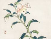 Plakat 80x60cm Lily, Kōno Bairei Japoński Vintage do Salonu