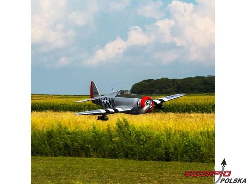 P-47D Thunderbolt 20cc ARF na Arena.pl