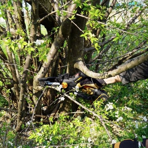 Minipilarka akumulatorowa do gałęzi WORX WG325E.9 na Arena.pl