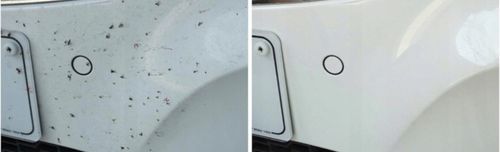 ADBL BEETLE JUICE SQUEEZER DO USUWANIA OWADÓW PTASICH ODCHODÓW Z AUTA 0,5L na Arena.pl