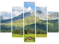 105CM 150CM OBRAZ 5 ELEM DOMY AROSA TAMBAKO THE JAGUAR DRUK