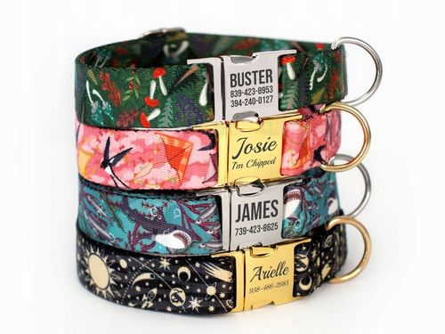 Obroża dla psa z klamrą Space rozmiar M na Arena.pl