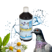 Backs Taubentee Flüssig 1000ml – Płynny koncentrat herbaty dla gołębi