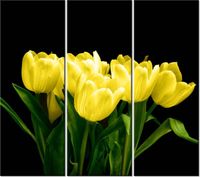 product-compare-58704140