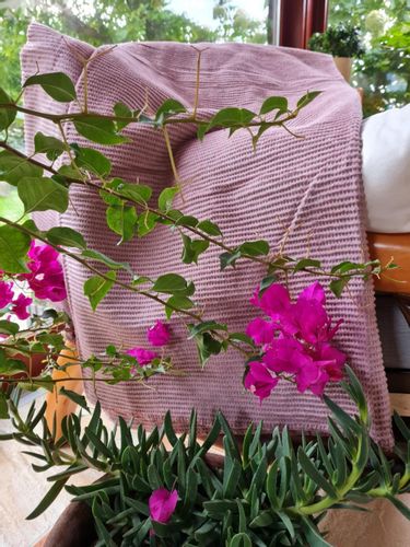 Koc narzuta AMBER 70x160 Design91 pudrowy na Arena.pl