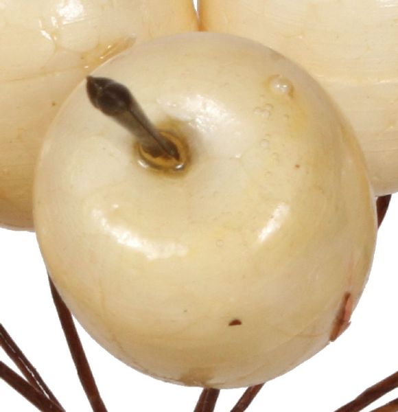 Jabłuszka rajskie do aranżacji kremowe 10 cm zdjęcie 2