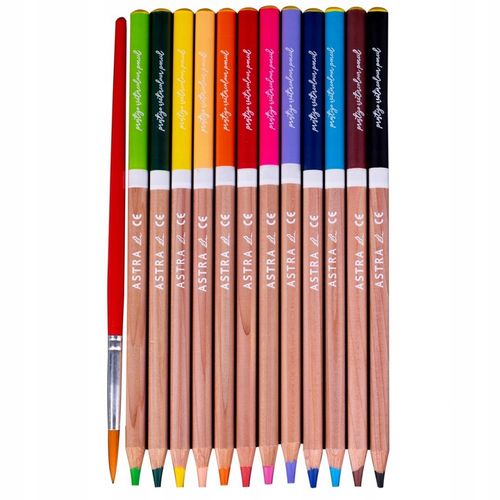 Kredki Akwarelowe Z Drew. Cedr Prestige 12Kol 5104 na Arena.pl