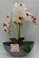 kwiat storczyk w doniczce Dla Mamy