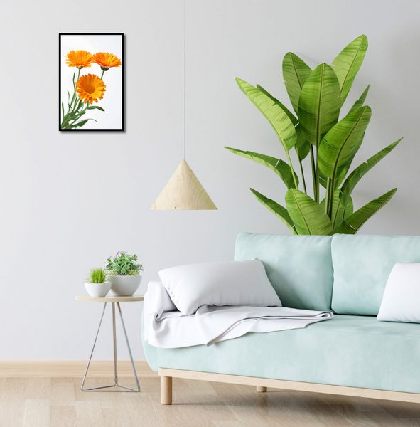 Plakat 30x45cm Słoneczne Kalendule zdjęcie 4
