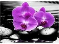 50X70CM OSTOJA PIĘKNA OBRAZ POKOJU DREWNINE