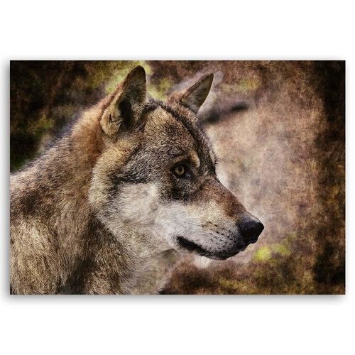 Obraz na płótnie – Canvas, Głowa wilka 60x40 na Arena.pl