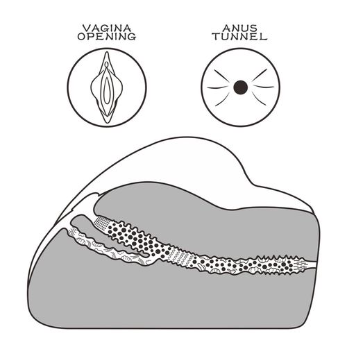 streetgirl's #3 na Arena.pl