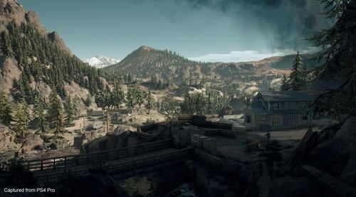 Gra PS4 Days Gone (Kompatybilna z PS5) na Arena.pl