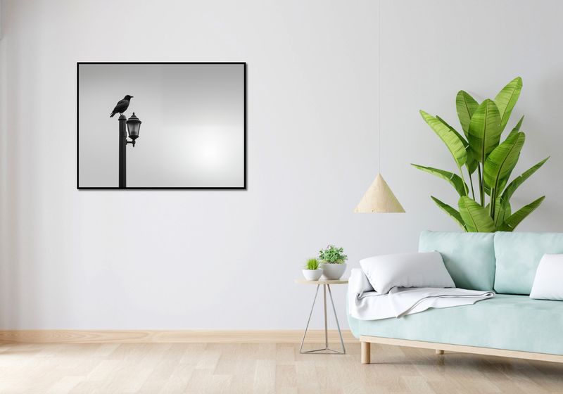 Plakat 100x75cm Samotny Postój Kruka zdjęcie 4