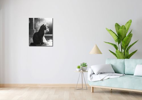 Obraz 50x60cm Kocia Przerwa na Arena.pl