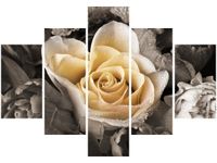 70 100CM OBRAZ 5 ELEM DELIKATNA RÓŻA DRUK PŁÓTNO