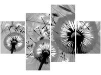 140CM 70 OBRAZ DMUCHAWCE CZERNI BIELI ŚCIENNY