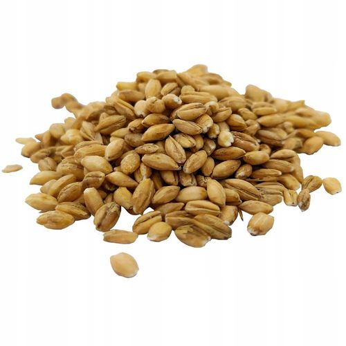 Kasza PĘCZAK JĘCZMIENNA 25kg worek na Arena.pl