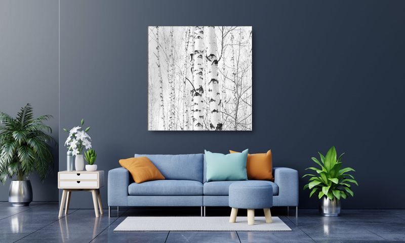 OBRAZ NA PŁÓTNIE 011 Brzozy 70x70cm zdjęcie 4