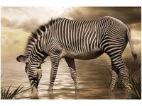 120CM 80CM OBRAZ ŚCIENNY ZEBRA WODOPOJU