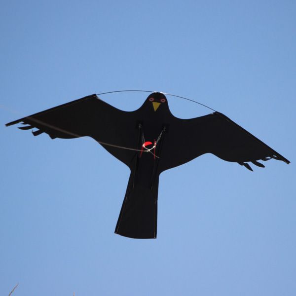 Odstraszacz Ptaków Duży Latawiec Jastrząb CH2 zdjęcie 6