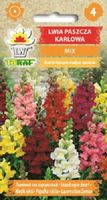 Lwia paszcza karłowa mix nasiona 0,5 g.
