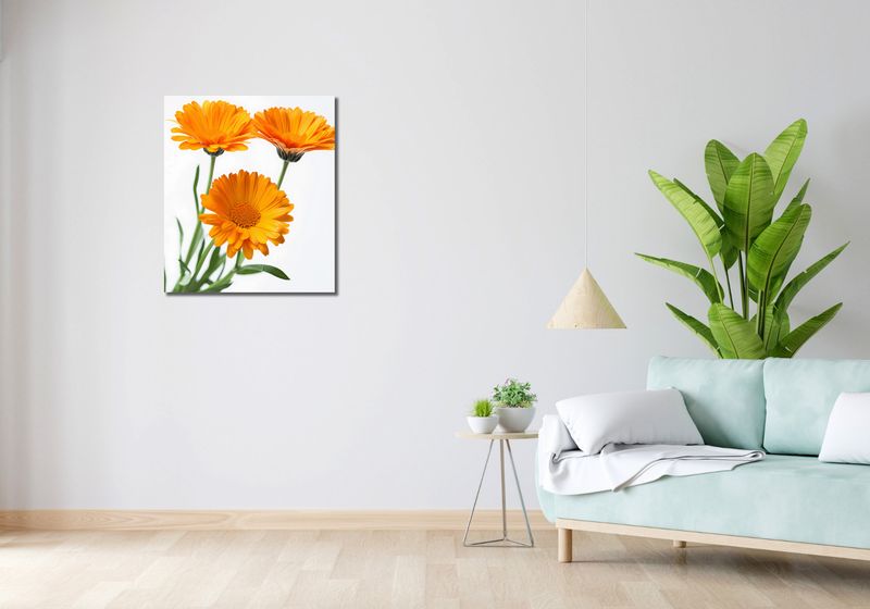 Obraz 60x70cm Słoneczne Kalendule zdjęcie 2