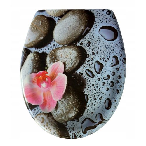 DESKA WC KLOZETOWA SEDESOWA WOLNOOPADAJĄCA KOLOROWA KAMIEŃ STORCZYK ESTIVA na Arena.pl