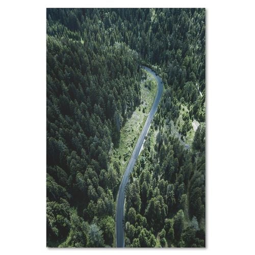Obraz na płótnie - Canvas, Droga w lesie 60x90 na Arena.pl