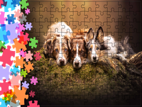 Puzzle tradycyjne Zwierzęta - Pieski