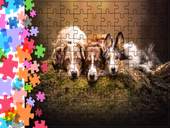 Puzzle tradycyjne Zwierzęta - Pieski